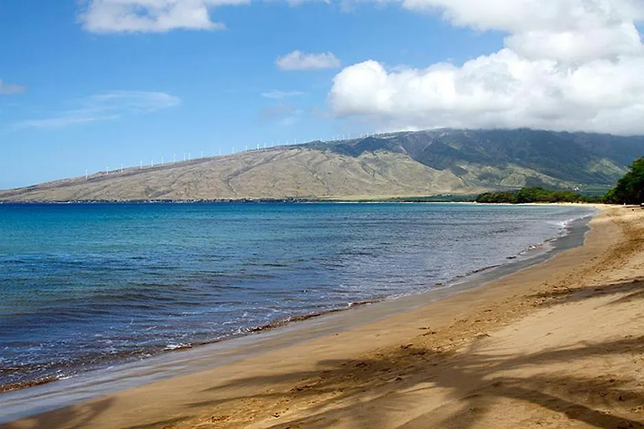 Kealia Resort 407 Kihei Stati Uniti